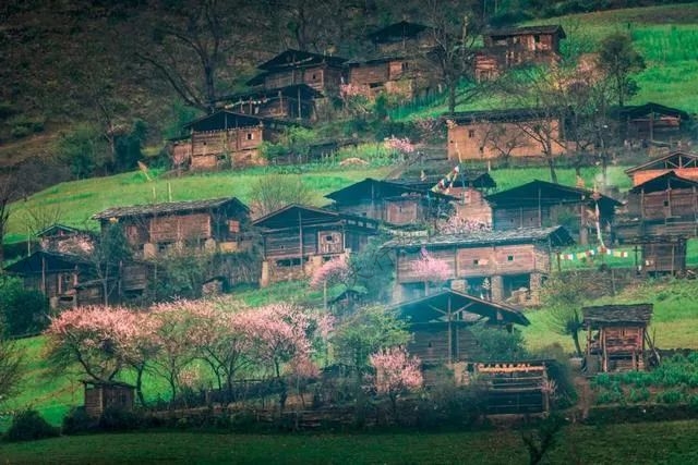 霧里村